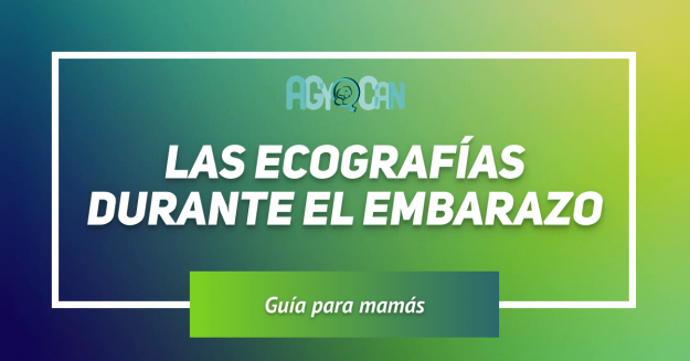 Ecografías durante el embarazo Las ecografias durante el embarazo son seguras para el bebe y la madre