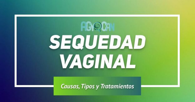 -1200×628-layout1476-1g5rf3i