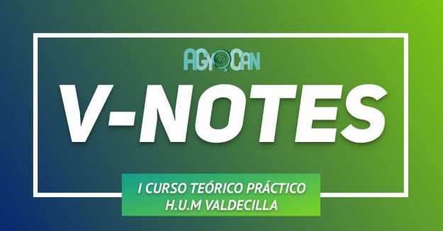 V NOTES